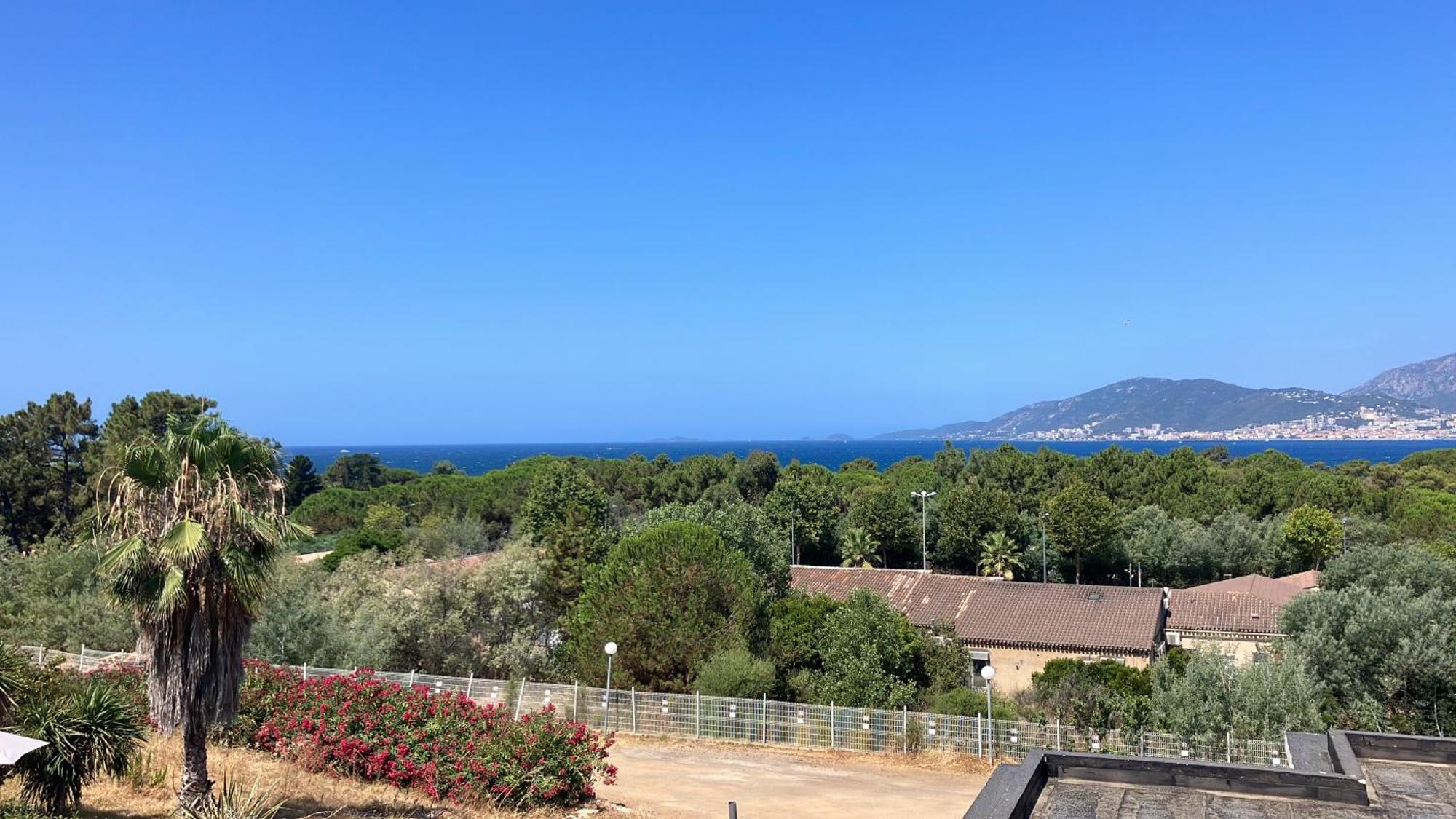 Ferienwohnung Porticcio Vacations - Terrasse, Piscine, Jacuzzi, Clim - By Tgb Exterior foto